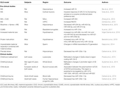 Early Life Stress and the Onset of Obesity: Proof of MicroRNAs’ Involvement Through Modulation of Serotonin and Dopamine Systems’ Homeostasis